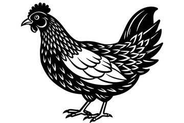 Fototapeta na wymiar chicken silhouette vector and illustration