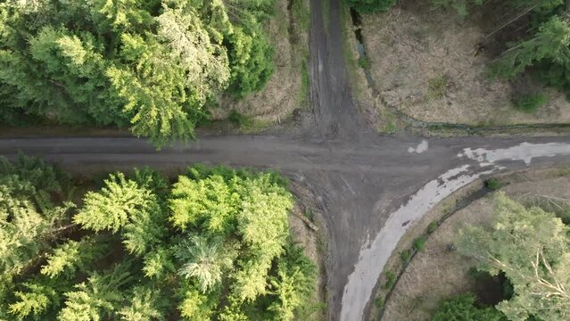 Path crossed by another path. Crossroads in the wilderness and the possibility of decision. Aerial bird's eye view from a drone in a tall forest. A sunny optomist day
