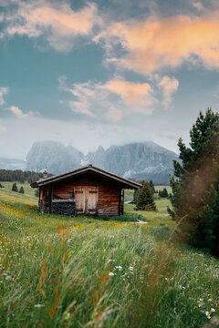 Alpe di Siusi, Seiser Alm, Dolomite Alps, Italy, Europe - Panoramic view of Alpe di Siusi, Dolomites