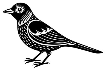  bird  silhouette  vector and illustration