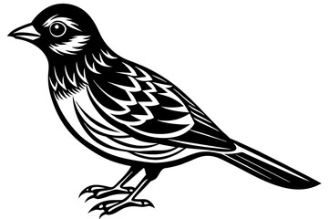 Naklejka premium bird silhouette vector and illustration