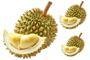 Obraz premium durian isolated on white background