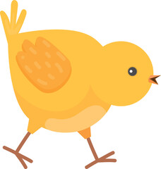 Funny yellow chick character. Farm chicken baby