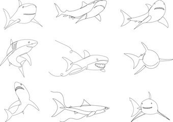 set of shark drawing continuous line on white background, vector