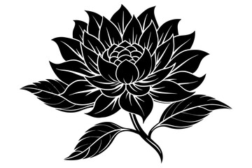 flower  silhouette  vector and illustration