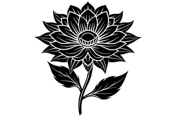 flower  silhouette  vector and illustration