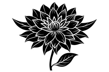 flower  silhouette  vector and illustration