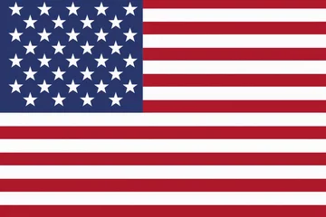 Foto op Plexiglas US presidential election. USA flag © megavectors