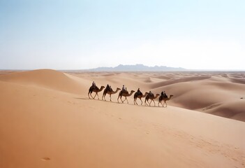 Fototapeta na wymiar A caravan of camels led by a person in desert 