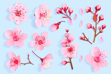 Pink cherry blossom element set on light blue background. Including flower blossoms, petals, and bud.