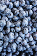 close up of blueberries