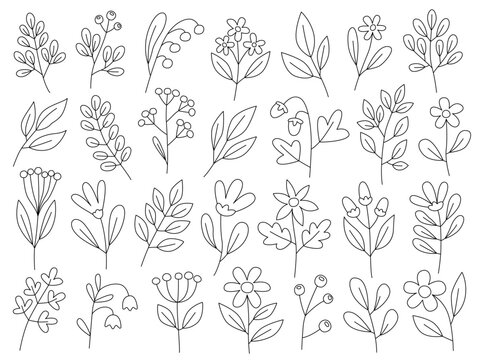 Collection of simple cute flowers, plants, branches and berries. Flowers and leaves of different shapes. Spring flowers. Design elements.  Simple line doodles.