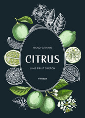 Lime fruit wreath. Citrus fruit sketches. Botanical card or invitation template. Exotic plants design. Hand drawn vector illustration. NOT AI generated - 763909882