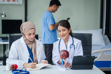 Medical team with nurses, Muslim people and Asian female doctors and specialists looking together at liver model for learning and Support and good health Listen to medical problems, medical costs