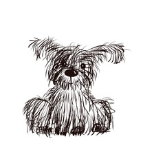 hand drawn sketch of a dog