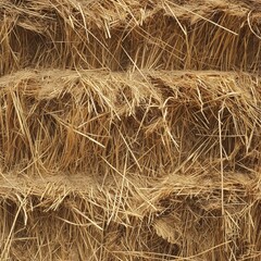 Dry Straw Grass. AI
