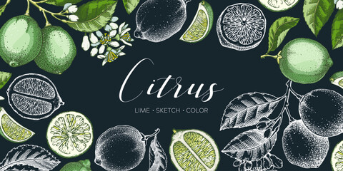 Lime fruit banner. Exotic plants design template. Citrus fruit sketch, watercolor, chalkboard style. Mixed media summer background. Hand drawn vector illustration. NOT AI generated - obrazy, fototapety, plakaty