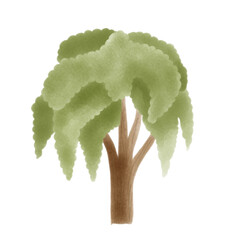 tree isolated