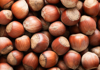 Raw healthy whole hazelnut nuts top view macro background.Top view.