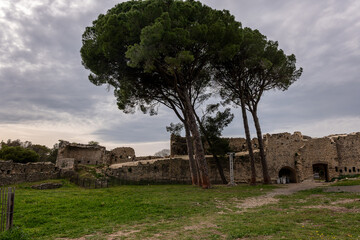 ruins of castle