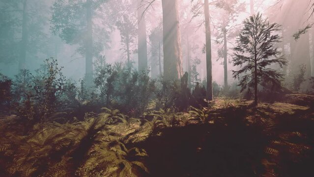 Giant Sequoias in the Giant Forest Grove in the Sequoia National Park