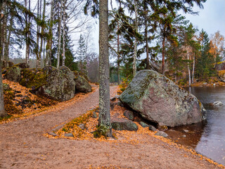 stone pathway in autumn forest