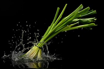 Scallion , Throw it into the water and spread it out , vegetable , black background. - obrazy, fototapety, plakaty
