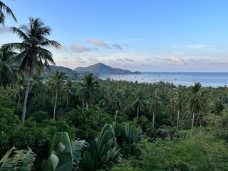 Tropical landscape with palms on Koh Tao island in Thailand in the early morning twilight. High angle scenic view on sea, green palm trees grove and mountains