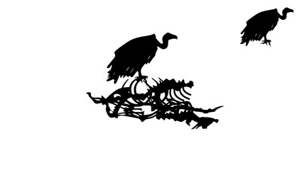 Vulture emblem, black isolated silhouette