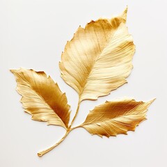 Naklejka premium A trio of gilded leaves stands elegantly against a white background, evoking a minimalistic and natural ambiance suitable for artistic displays and eco-friendly themes