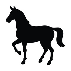 horse silhouette isolated on white