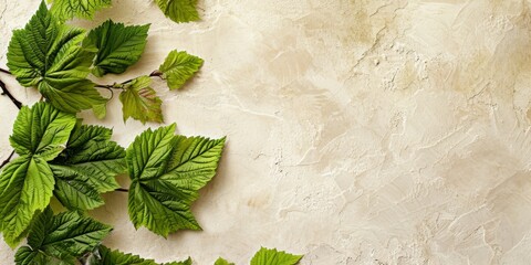 Vibrant green leaves arranged on a textured beige plaster surface, showcasing natural patterns and...