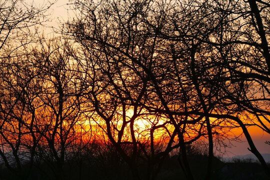 Dramatic sky in sunset with trees nature background 