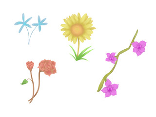 Flower set ilustration