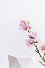 White podium or pedestal with pink cherry blossom twigs. Cosmetic template