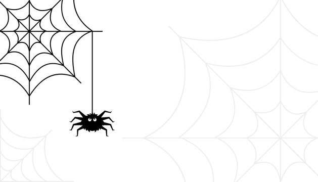 White Halloween banner with cobwebs and spiders. Black Spider and a Torn Web. Scary Web Halloween symbol. Vector illustration isolated on  white 