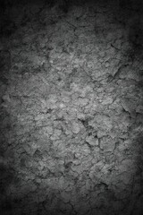 Fototapeta premium The texture of gray dust.