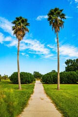 Fototapeta premium The park alleys