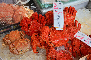 Nijo Market at Sapporo City in Hokkaido