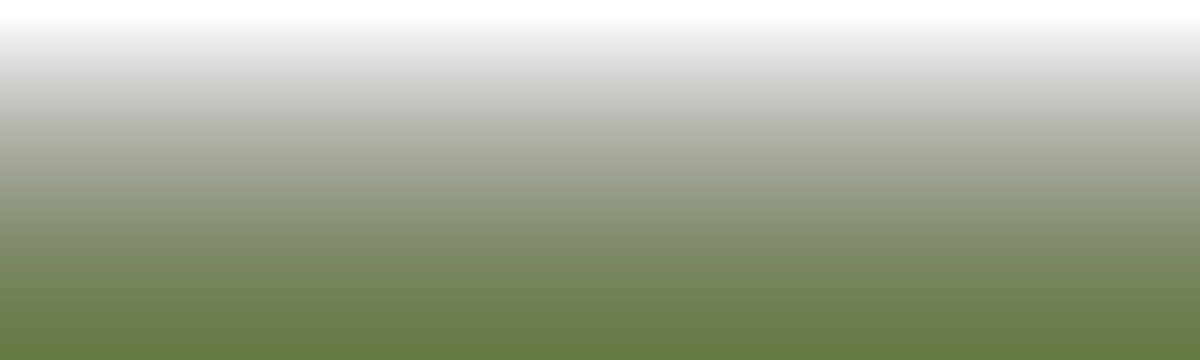 Dark Olive Green Abstract vector gradient filter overlay with transparent background, suitable for poster, header, or banner design. Features light green, or Olive-drab hues with color code #556B2F