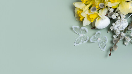 Daffodils, easter eggs and willow with copy space. Easter greeting banner