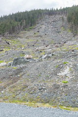 The after effects of a Large Landslide South East of Haines, Alaska, USA