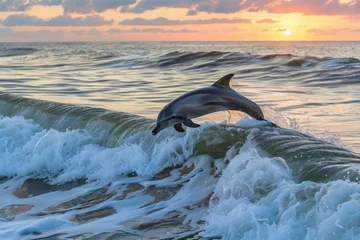Fototapeten dolphin leaping over ocean waves at sunrise © Alfazet Chronicles