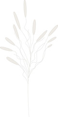 Delicate pastel dried flowers [vector].