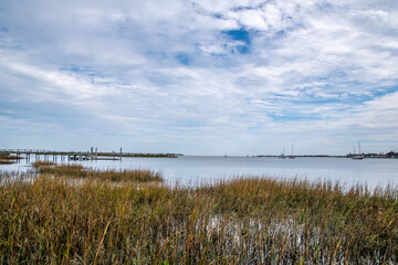 Scenic view of trees and grasses along the Matanzas River, St. Augustine Florida, by the Castillo de San Marcos grounds