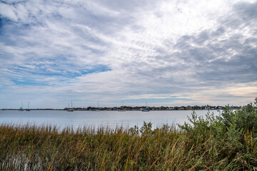 Scenic view of trees and grasses along the Matanzas River, St. Augustine Florida, by the Castillo de San Marcos grounds