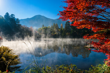 大分県　紅葉と朝霧の金鱗湖 - obrazy, fototapety, plakaty