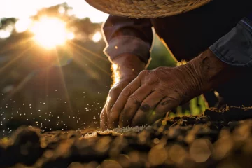 Foto op Plexiglas A seasoned farmer sows seeds with weathered hands, his figure backlit by the setting sun's golden glow, highlighting the dignified toil of rural life. © tjshot
