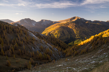 herbstliche Nockberge, Pfannnock, Predigerstuhl, Plattnock, Gurktaler Alpen, Kärnten, Österreich
