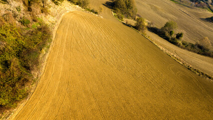 Aerial view of wheat field at sunset. The hills are cultivated continuously. © Stefano Tammaro